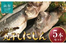 丸干しにしん　5本セット　「函館　山﨑水産」_HD061-021