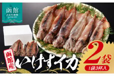 函館産いけすイカ_HD109-006