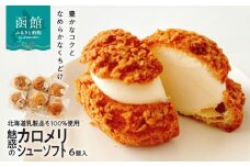 魅惑のカロメリシューソフト（6個入）_HD082-007