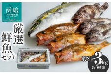 【函館産】厳選　鮮魚セット_HD156-001