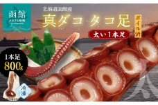 北海道函館産 真ダコ タコ足 太い1本足 800g_HD146-003