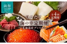 はこだて 海の幸 定期便 10万円 北海道産 プレミアム 全4回 海の恵 食通 うなる 海のごちそう セレクト 函館名物 いかそーめん いかそうめん いか刺し 戸井産 本マグロ 赤身 中トロ 函館サーモン いくら 醤油漬け 月替り お取り寄せ 北海道 函館市 送料無料_HS001-008