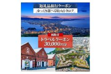北海道 函館市 旅行クーポン 30,000円分 温泉 観光 旅行 ホテル 旅館 老舗 高級 トラベル チケット 家族 カップル 宿泊 予約 おすすめ 父の日 母の日 旅行券 宿泊券_HD233-001