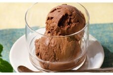 成城石井 くちどけなめらかなチョコレートアイス（110ml×24個） アイスクリーム 贈り物 ギフト お取り寄せ