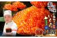 いくら醤油漬 計約1.2kg（約200g×6パック）