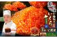 【3回定期便】 いくら醤油漬 約400g（約200g×2パック）×3回 計約1.2kg