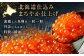 【6回定期便】 いくら醤油漬 約600g（約200g×3パック）×6回 計約3.6kg