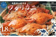 北海道 小樽市産 ワタリガニ 1.8kg (300g×6尾) 蟹 かに ワタリ蟹