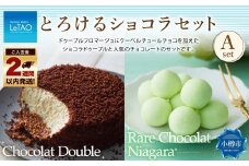 ルタオ とろけるショコラセットA （ショコラドゥーブル・レアチョコレート ナイアガラ） フロマージュ チョコレート チーズ 生クリーム ワイン 洋菓子 ケーキ お取り寄せ ギフト 