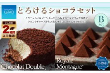 ルタオ とろけるショコラセットB （ショコラドゥーブル・ロイヤルモンターニュ）フロマージュ チョコレート チーズ 生クリーム 紅茶 洋菓子 ケーキ お取り寄せ ギフト