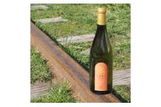 【小樽オサワイナリー】白ワイン tabi(タビ) 750ml 1本【2025年7月下旬-2026年1月下旬迄発送予定】