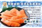 【3回定期便】 国産 トラウトサーモン 計約2.4kg （約200g×4パック）×3回