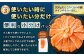 【3回定期便】 国産 トラウトサーモン 計約2.4kg （約200g×4パック）×3回