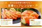 【3回定期便】 国産 トラウトサーモン 計約2.4kg （約200g×4パック）×3回