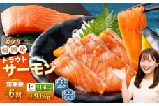 【6回定期便】 国産 トラウトサーモン 計約9.6kg （約200g×8パック）×6回 サーモン 新鮮 小分け 真空パック 急速凍結 国内養殖 冷凍