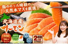 北海道産サーモン 約800g （約200g×4パック） サーモン 本マス マス 天然 新鮮 塩締め 急速凍結 小分け 冷凍