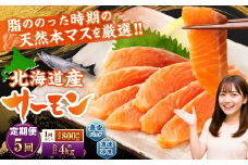 【5回定期便】 北海道産サーモン 計約4kg （約200g×4パック）×5回 サーモン 本マス マス 天然 新鮮 塩締め 急速凍結 小分け 冷凍
