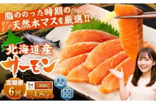 【6回定期便】 北海道産サーモン 計約4.8kg （約200g×4パック）×6回 サーモン 本マス マス 天然 新鮮 塩締め 急速凍結 小分け 冷凍