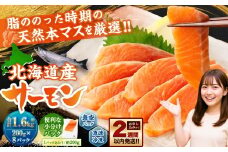 北海道産サーモン 約1.6kg （約200g×8パック） サーモン 本マス マス 天然 新鮮 塩締め 急速凍結 小分け 冷凍