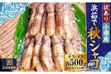 【訳あり】北海道小樽産 漁師直送 浜茹で秋シャコ(冷凍) オス・メス 各500g (各12匹～) [M・Lサイズ不揃い・傷あり・規格外] 【2025年12月下旬発送予定】