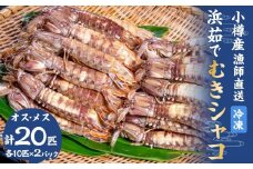 小樽産 漁師直送 浜茹でむきシャコ (冷凍) オス10匹・メス10匹＜計2パック＞ 【2025年12月下旬発送予定】