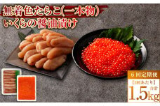 【6回定期便】無着色たらこ（一本物）・いくらの醤油漬け 1回あたり合計1.5kg たらこ タラコ 鱈子 無着色 いくら イクラ 醤油漬け セット 冷凍 北海道 小樽市