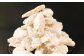 2つの味が楽しめる！北海道産 真ふぐ唐揚げ（しょうゆ味＆昆布しお味） 1kg（各500g×1）