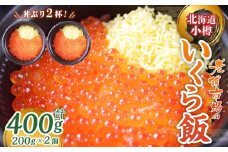 いくら飯（いくら醤油漬け）200g×2個 （400g）