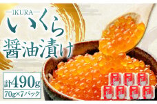 北海道産 いくら醤油漬け 70g×7パック 合計490g いくら イクラ 漬け 冷凍 北海道 小樽市 [457]