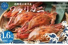 北海道 小樽市産 ワタリガニ 1.6kg （400g×4尾） 蟹 かに ワタリ蟹