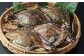 北海道 小樽市産 ワタリガニ 1.6kg （400g×4尾）