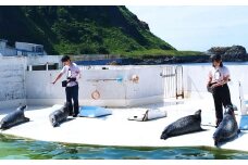 おたる水族館 飼育員体験 オリジナルポスター付 体験 体験型 飼育員 トレーナー 水族館 北海道 小樽市