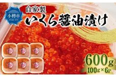 自家製 いくら醤油漬け 600g （100g×6パック）  いくら 鮭卵 海の幸 醤油味 冷凍 国産