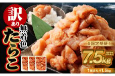 【5回定期便】【訳あり】無着色たらこ 1.5kg（500g×3） たらこ タラコ 鱈子 無着色 訳アリ わけあり 不揃い 冷凍 北海道 小樽市