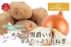 【先行予約】ホクホク男爵いも・甘みたっぷり玉ねぎ★10kgセット★（2025年9月下旬より発送開始） 【 じゃがいも 芋 玉葱 野菜 産地直送 旬 お取り寄せ 詰め合わせ 旭川市 北海道 】 _00565