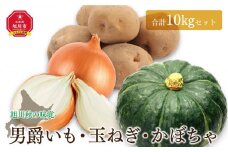 【先行予約】＜旭川秋の味覚＞男爵いも・玉ねぎ・かぼちゃ　合計10kgセット（2025年10月上旬より発送開始） 【 じゃがいも 芋 玉葱 野菜 産地直送 旬 お取り寄せ 詰め合わせ 旭川市 北海道 】 _00402
