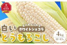 【先行予約】【旭川近郊産】白いとうもろこし（ホワイトショコラ他）4kg＜11-13本＞(2025年8月上旬発送開始予定)【 人気 北海道産 糖度 生 野菜 スイートコーン 産地直送 バーベキュー BBQ コーン 旬 お取り寄せ 旭川市 北海道 】_00093