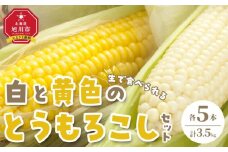 【先行予約】【旭川近郊産】白と黄色のとうもろこしセット　各5本（計3.5kg）(2025年8月上旬発送開始予定)【 白いとうもろこし 人気 北海道産 糖度 生 野菜 スイートコーン 産地直送 バーベキュー BBQ コーン 旬 お取り寄せ 旭川市 北海道 】_00094