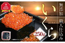 北海道産イクラしょうゆ漬け(鮭卵)　250g 【いくら 醤油漬け いくら醤油漬 小分け 無添加 冷凍 魚卵 お取り寄せ 人気 鮭いくら 旭川市 北海道ふるさと納税 北海道】_00583