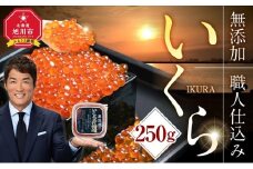 北海道産イクラしょうゆ漬け(鮭卵)　250g 【いくら 醤油漬け いくら醤油漬 小分け 無添加 冷凍 魚卵 お取り寄せ 人気 鮭いくら 旭川市 北海道ふるさと納税 北海道】_00583