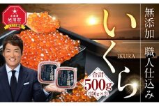 北海道産イクラしょうゆ漬け(鮭卵)　500g 【いくら 醤油漬け いくら醤油漬 小分け 無添加 冷凍 魚卵 お取り寄せ 人気 鮭いくら 旭川市 北海道ふるさと納税 北海道】_00584●