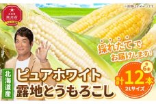 【先行予約】北海道産ピュアホワイト・露地とうもろこし　計12本 2025年8月下旬から発送開始予定 【 白いとうもろこし 人気 北海道産 糖度 生 野菜 スイートコーン 産地直送 バーベキュー BBQ コーン 旬 お取り寄せ 旭川市 北海道 】_00113