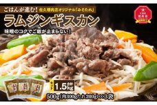 ごはんが進む！佐久精肉店オリジナル「みそたれ」ラムジンギスカン1.5kgセット_00874