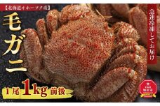 北海道 オホーツク産 毛ガニ 1尾 1kg前後 カニ 蟹 毛ガニ 毛蟹 毛がに 毛カニ 冷凍 お取り寄せ 旭川市 北海道ふるさと納税 送料無料 北海道_01189
