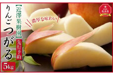 【先行予約】近澤果樹園 りんご「つがる」5kg（2025年10月上旬より発送予定）【 果物 くだもの フルーツ デザート 旬 お取り寄せ 甘い 北海道産 人気 ランキング 北海道 旭川市 産地直送 】_01177