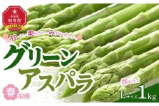 春収穫グリーンアスパラ Lサイズ 1kg(2025年6月上旬～発送開始予定) 【 アスパラ アスパラガス 朝採り とれたて 野菜 旬 小分け 保存 産直 産地直送 お取り寄せ 旭川市 北海道 】_00442