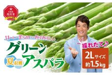 夏収穫グリーンアスパラ 2Lサイズ 1.5kg（2025年7月下旬～発送開始予定）【 アスパラ アスパラガス 朝採り とれたて 野菜 旬 小分け 保存 産直 産地直送 お取り寄せ 旭川市 北海道 】_00415