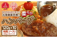 キャラメルオニオンと北海道産合挽の柔らかハンバーグ(120g×10)和風ソース付き_01226