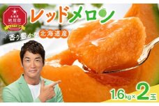 香り豊かな 北海道レッドメロン 1.6kg×2玉(2025年7月下旬発送開始予定) 【 果物 くだもの フルーツ メロン 赤肉 赤肉メロン 旬 お取り寄せ 甘い 北海道産 旭川市 北海道 送料無料 】_01381