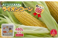 【先行予約】象もろこし（ライオンコーン）大きいサイズのトウモロコシ　480ｇ以上8本入り(2025年8月下旬～発送開始予定) 【 とうもろこし 人気 北海道 糖度 野菜 スイートコーン 産地直送 ゴールドラッシュ コーン 旬 お取り寄せ 旭川市 北海道 】_01412